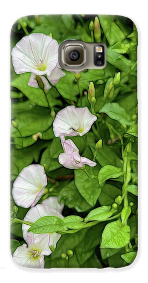 Morning Glories - Phone Case