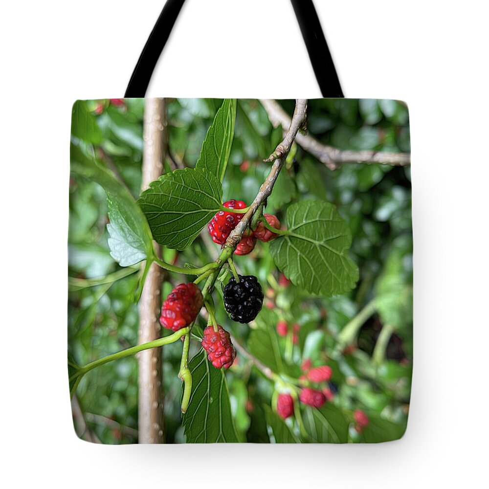 Mullberry Branch In Late June - Tote Bag