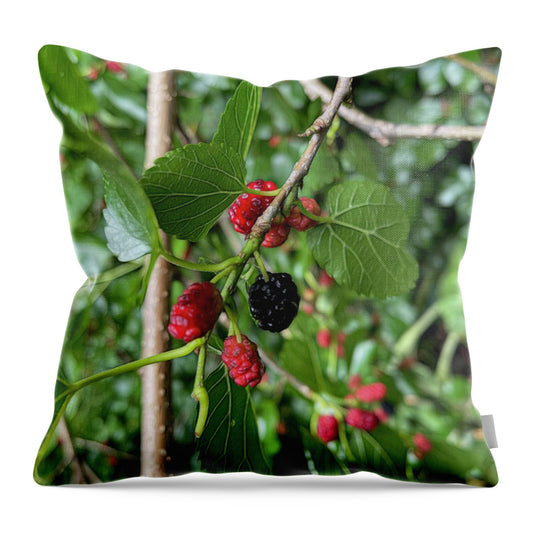 Mullberry Branch In Late June - Throw Pillow