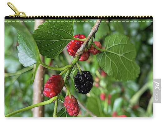 Mullberry Branch In Late June - Zip Pouch