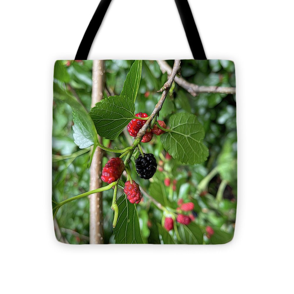 Mullberry Branch In Late June - Tote Bag