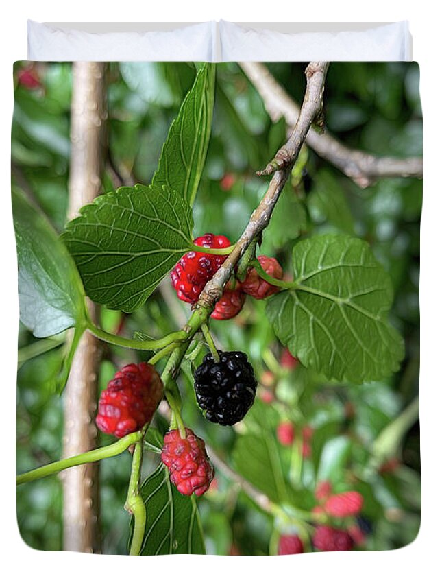 Mullberry Branch In Late June - Duvet Cover