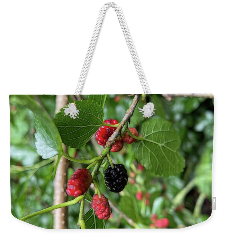 Mullberry Branch In Late June - Weekender Tote Bag