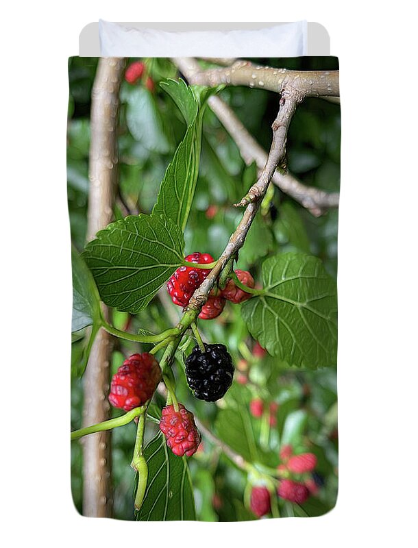 Mullberry Branch In Late June - Duvet Cover