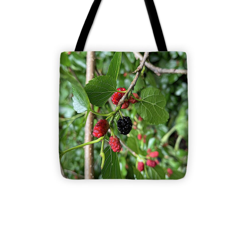 Mullberry Branch In Late June - Tote Bag