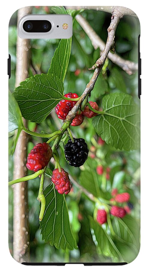 Mullberry Branch In Late June - Phone Case