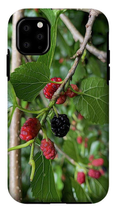 Mullberry Branch In Late June - Phone Case