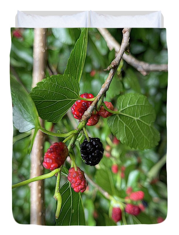 Mullberry Branch In Late June - Duvet Cover