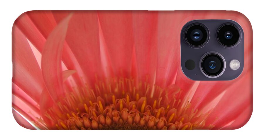Pastel Pink and Yellow Daisy Center - Phone Case