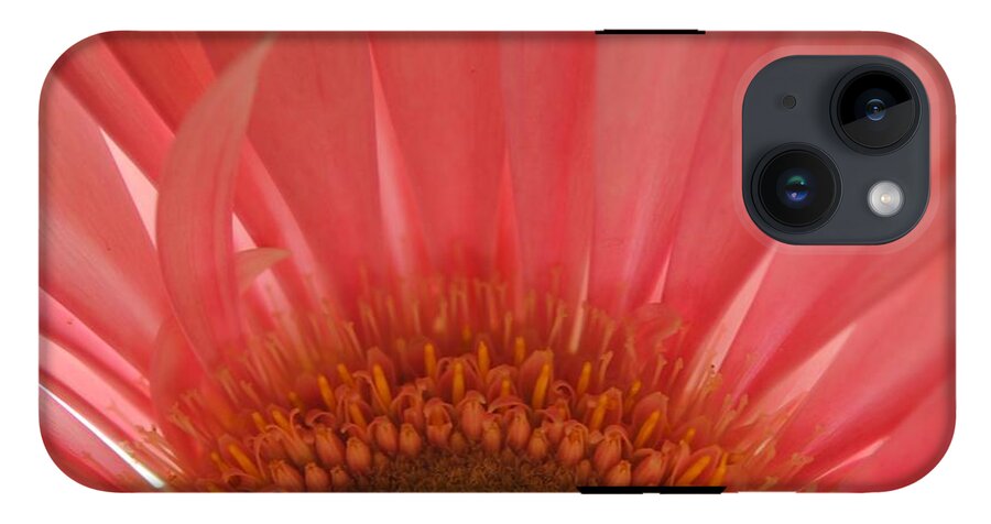 Pastel Pink and Yellow Daisy Center - Phone Case