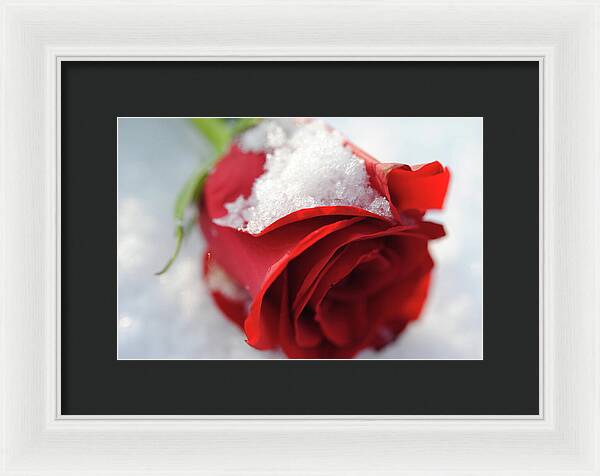 Raw Flowers 16 - Framed Print