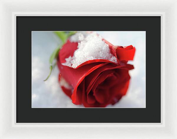 Raw Flowers 16 - Framed Print