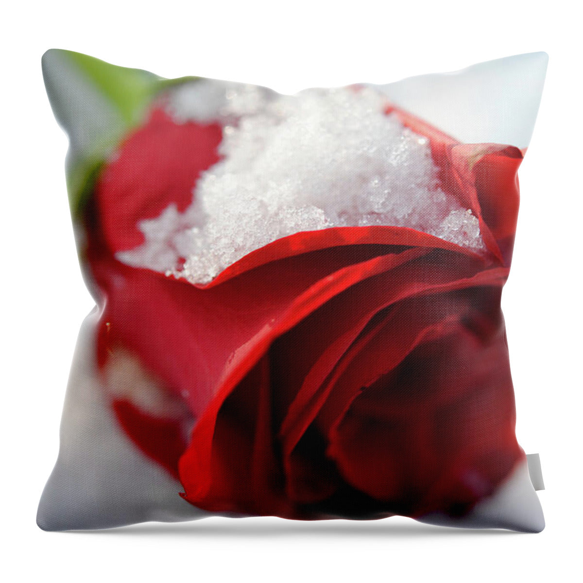 Raw Flowers 16 - Throw Pillow