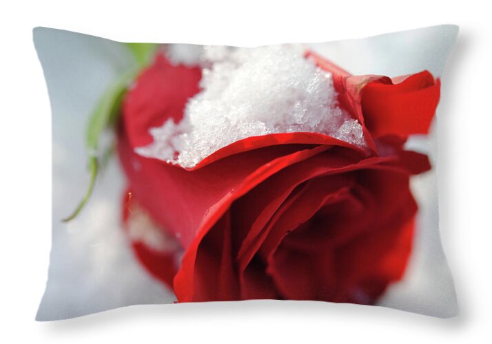 Raw Flowers 16 - Throw Pillow