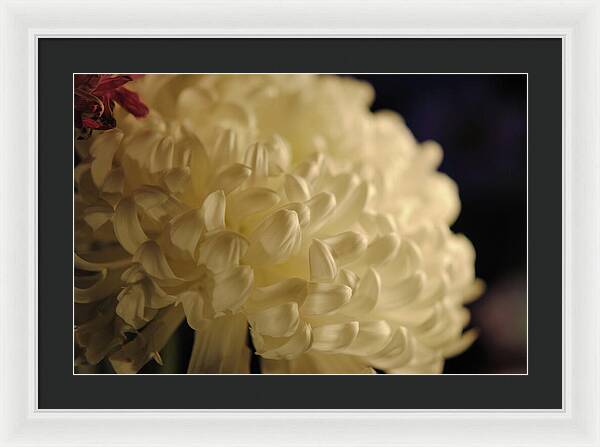 Raw Flowers 17 - Framed Print