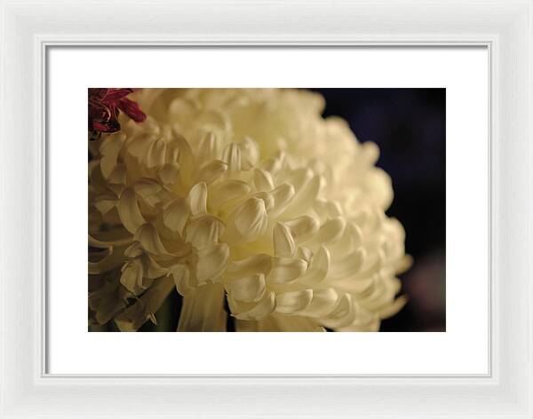 Raw Flowers 17 - Framed Print