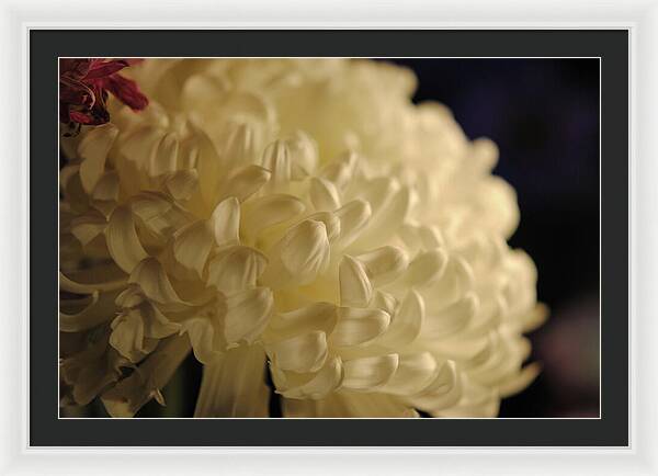 Raw Flowers 17 - Framed Print