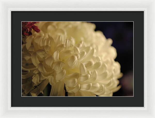 Raw Flowers 17 - Framed Print