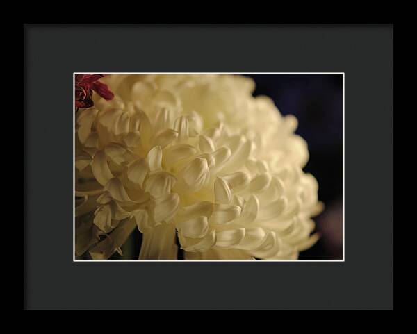 Raw Flowers 17 - Framed Print