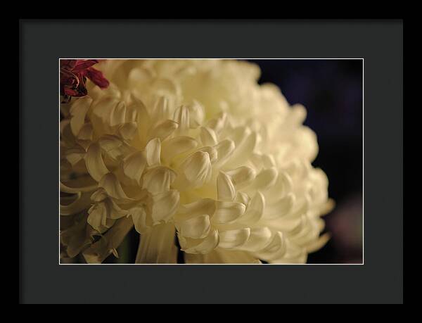 Raw Flowers 17 - Framed Print