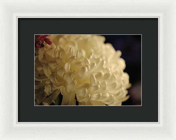 Raw Flowers 17 - Framed Print