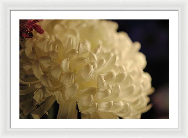 Raw Flowers 17 - Framed Print