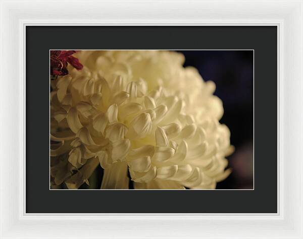 Raw Flowers 17 - Framed Print