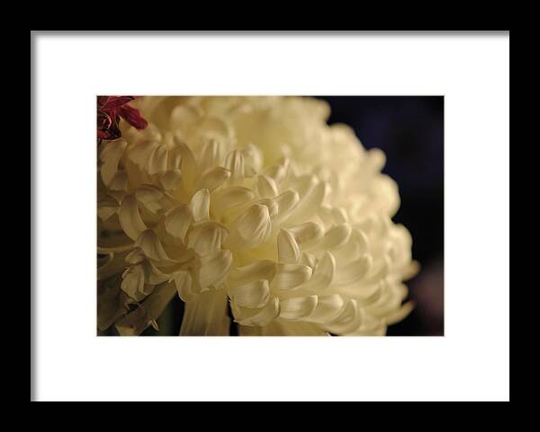 Raw Flowers 17 - Framed Print