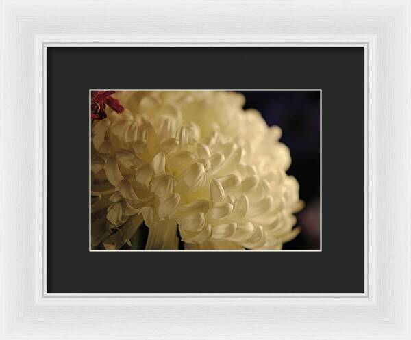 Raw Flowers 17 - Framed Print