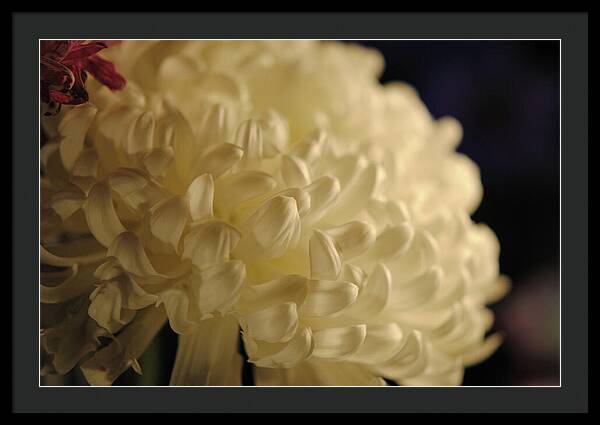 Raw Flowers 17 - Framed Print