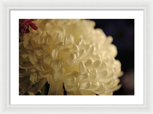 Raw Flowers 17 - Framed Print