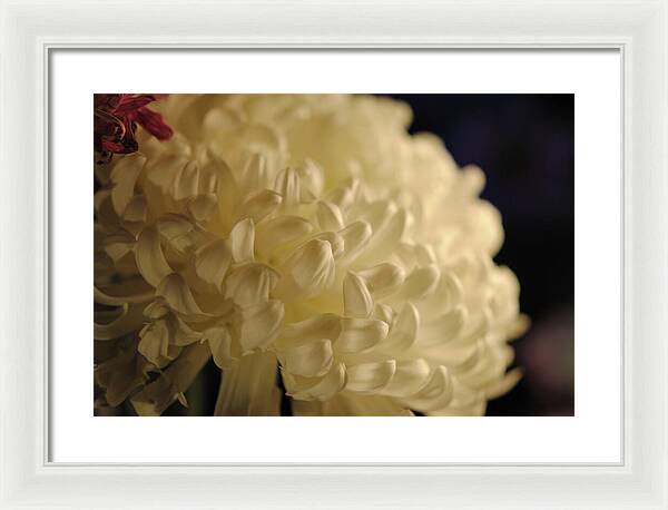 Raw Flowers 17 - Framed Print