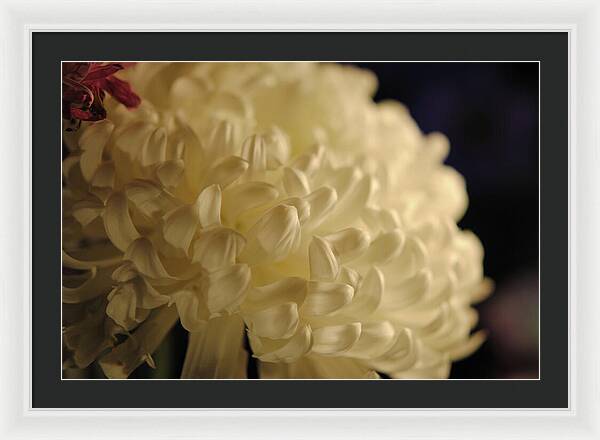 Raw Flowers 17 - Framed Print