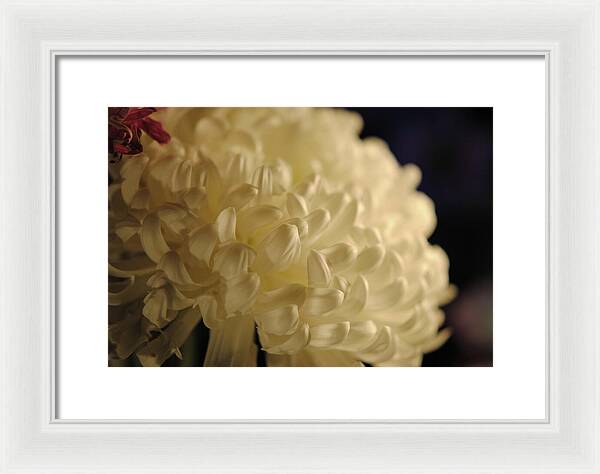 Raw Flowers 17 - Framed Print