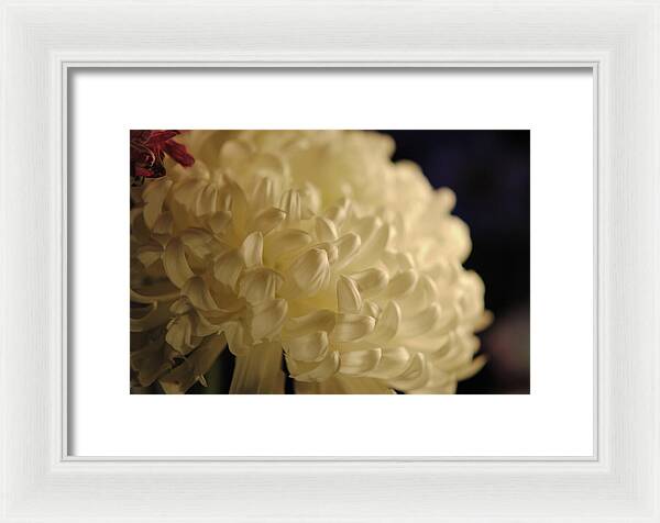 Raw Flowers 17 - Framed Print