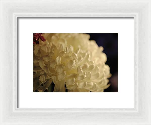 Raw Flowers 17 - Framed Print