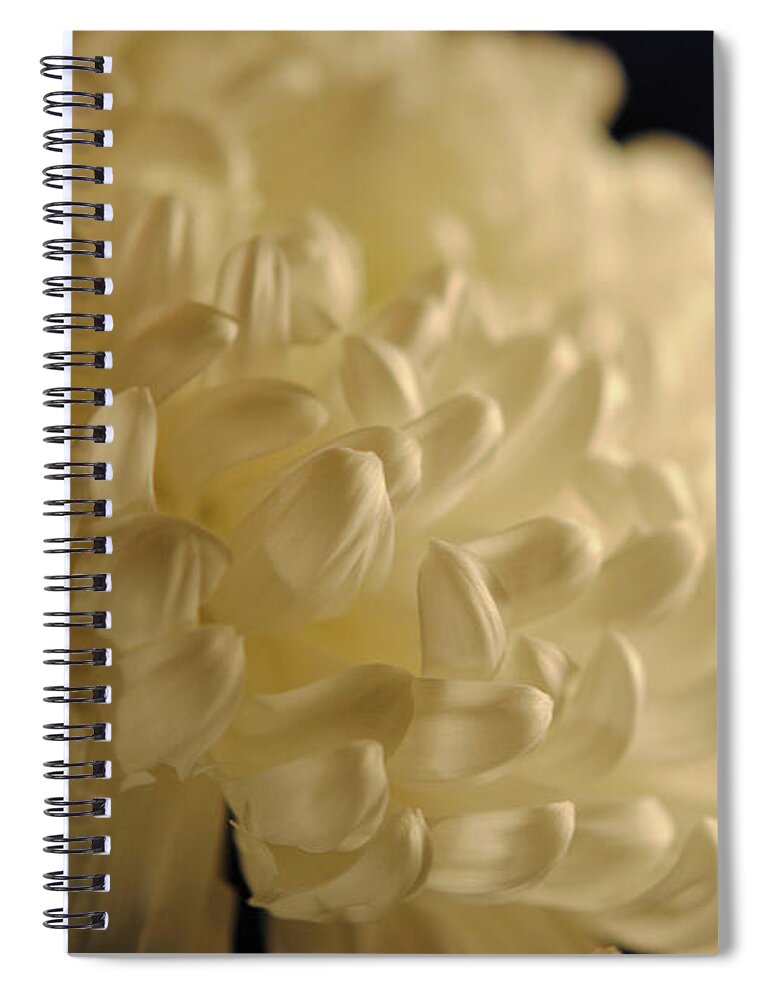 Raw Flowers 17 - Spiral Notebook