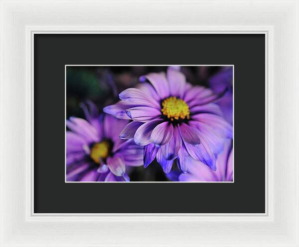 Raw Flowers 18 - Framed Print