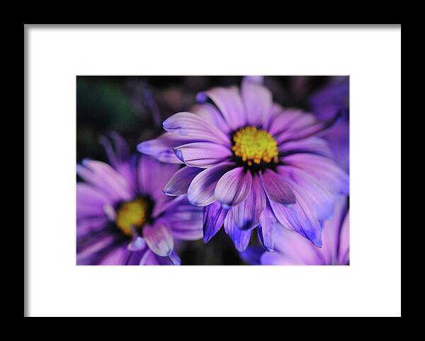 Raw Flowers 18 - Framed Print