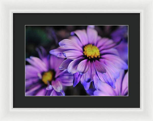 Raw Flowers 18 - Framed Print