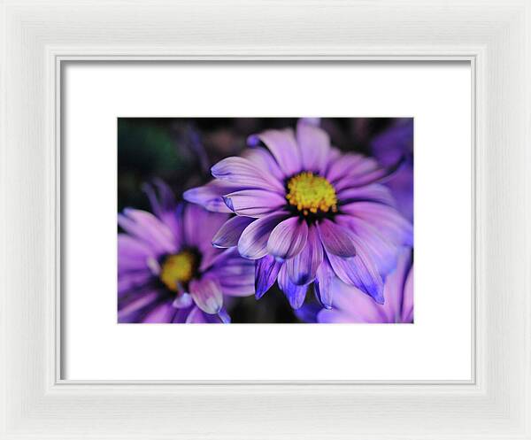 Raw Flowers 18 - Framed Print