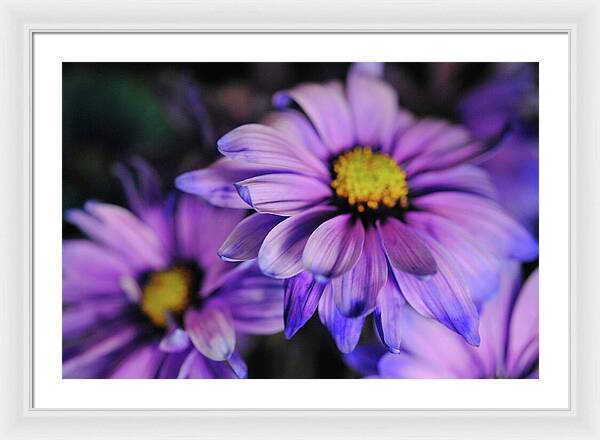 Raw Flowers 18 - Framed Print