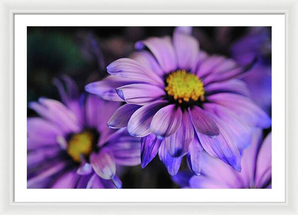 Raw Flowers 18 - Framed Print