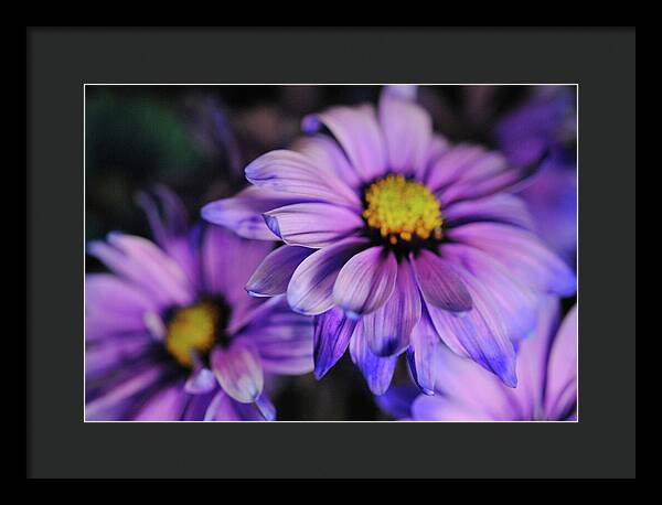 Raw Flowers 18 - Framed Print