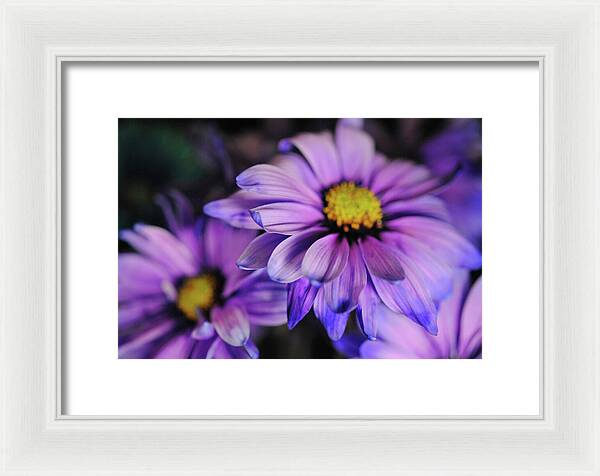 Raw Flowers 18 - Framed Print