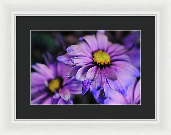 Raw Flowers 18 - Framed Print