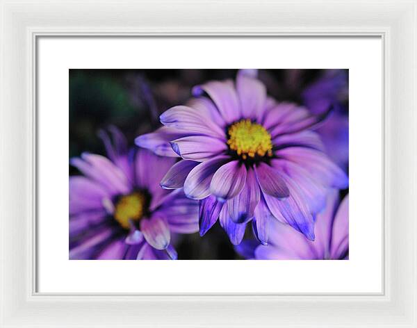 Raw Flowers 18 - Framed Print