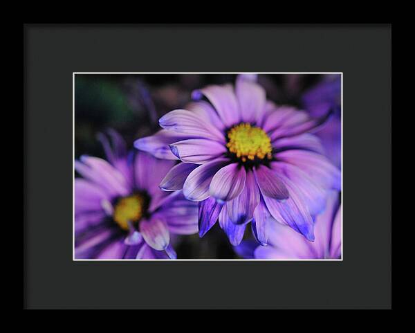 Raw Flowers 18 - Framed Print