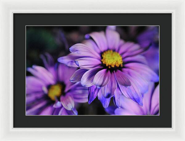 Raw Flowers 18 - Framed Print