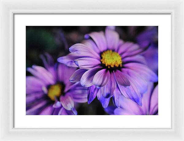 Raw Flowers 18 - Framed Print